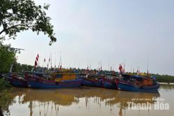 Thanh H&oacute;a chủ động ứng ph&oacute; với gi&oacute; mạnh tr&ecirc;n biển