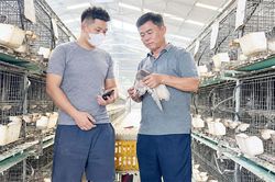 Nu&ocirc;i chim bồ c&acirc;u theo hướng kinh tế tuần ho&agrave;n