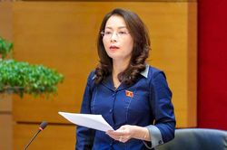 Đo&agrave;n đại biểu Quốc hội th&agrave;nh phố Bắc Ninh thảo luận nhiều dự &aacute;n luật trọng điểm