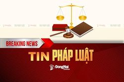 Bắt nh&oacute;m đối tượng mua b&aacute;n, tổ chức sử dụng ma t&uacute;y
