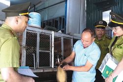Siết chặt quản l&yacute;, bảo vệ động vật hoang d&atilde;
