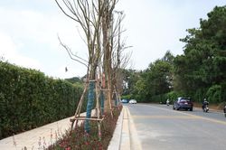 Đà Lạt nâng cấp loạt tuyến đường nội đô