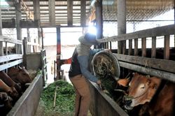 Ph&ograve;ng ngừa nguy cơ &ocirc; nhiễm t&aacute;i diễn