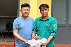 Người d&acirc;n g&oacute;p sức bảo vệ động vật hoang d&atilde;