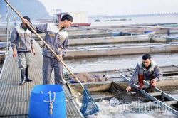 Siết chặt quản l&yacute; vật tư d&ugrave;ng trong nu&ocirc;i trồng thủy sản