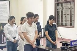 Mua b&aacute;n h&oacute;a đơn tr&aacute;i ph&eacute;p: 5 bị c&aacute;o bị phạt tổng số tiền hơn 1,2 tỷ đồng