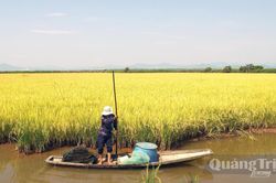 Hướng đến n&ocirc;ng nghiệp bền vững