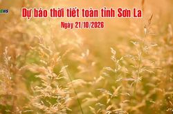 Dự b&aacute;o thời tiết to&agrave;n tỉnh Sơn La ng&agrave;y 21/10/2026