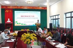 G&oacute;p &yacute; dự thảo Luật Thỏa thuận quốc tế (sửa đổi) v&agrave; Luật Sở hữu tr&iacute; tuệ.