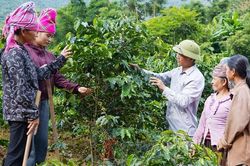 Ph&aacute;t triển sản xuất gắn với bảo vệ rừng ở Long Hẹ