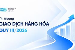 Thị trường h&agrave;ng h&oacute;a qu&yacute; III/2026: Thanh khoản bứt ph&aacute;, d&ograve;ng tiền trở lại