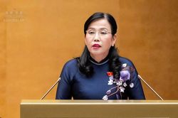 Kh&ocirc;ng chuyển to&agrave;n bộ rủi ro đầu tư, kinh doanh sang Nh&agrave; nước hoặc người sử dụng điện