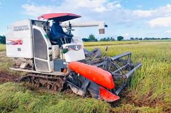 6 x&atilde; ở Hưng Y&ecirc;n hướng đến ho&agrave;n th&agrave;nh ti&ecirc;u ch&iacute; x&atilde; n&ocirc;ng th&ocirc;n mới hiện đại trước năm 2050