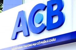ACB H&agrave; Tĩnh bị thanh tra chỉ ra loạt tồn tại