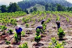 Thanh H&oacute;a: Kinh tế tiếp tục c&oacute; bước ph&aacute;t triển, quản l&yacute; t&agrave;i nguy&ecirc;n, bảo vệ m&ocirc;i trường được quan t&acirc;m