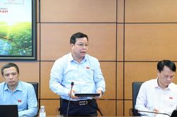 Ph&acirc;n cấp k&yacute; kết thỏa thuận quốc tế phải gắn với nguồn lực v&agrave; tr&aacute;ch nhiệm