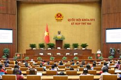 Nữ ĐBQH tiếp tục l&agrave; cầu nối vững chắc giữa cử tri v&agrave; nghị trường