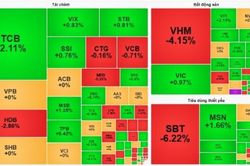 VN-Index tăng nhẹ, VHM k&igrave;m h&atilde;m đ&agrave; phục hồi của thị trường