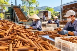 Nghịch l&yacute; xuất khẩu gia vị: Tăng lượng nhưng giảm gi&aacute; trị