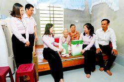Những đ&oacute;a hoa tr&ograve;n vẹn sắc hương