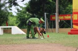 Bế mạc Hội thi c&aacute;n bộ huấn luyện v&agrave; ch&oacute; nghiệp vụ giỏi lần thứ V