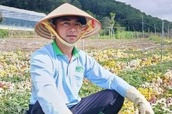 N&ocirc;ng sản Đ&agrave; Lạt c&ograve;n đ&oacute; những nỗi lo