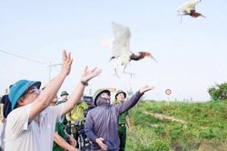 Nước mắt chim trời (B&agrave;i cuối)