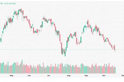 Chứng kho&aacute;n 20/10: VN-Index hồi nhẹ, d&ograve;ng tiền vẫn d&egrave; dặt
