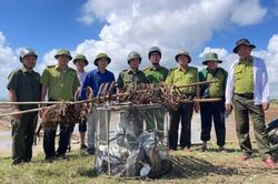 Tp. Huế: X&atilde; Hưng Lộc giải cứu h&agrave;ng chục c&aacute; thể C&ograve;, bảo vệ m&ocirc;i trường sinh th&aacute;i