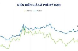Gi&aacute; c&agrave; ph&ecirc; tăng mạnh do lo ngại rủi ro thời tiết