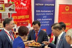 Thương mại Việt Nam - Singapore lập kỷ lục mới