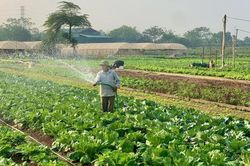 Tiểu thương chợ truyền thống H&agrave; Nội l&ecirc;n s&agrave;n, c&oacute; m&atilde; định danh, được Th&agrave;nh phố bảo trợ