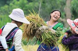Vẻ đẹp bình dị của người phụ nữ Việt Nam: Từ phố thị đến vùng cao