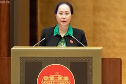 Nhiều điểm mới về ph&acirc;n cấp, ph&acirc;n quyền tại 7 luật thuộc lĩnh vực văn ho&aacute;