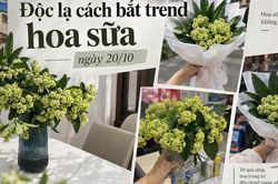 Độc lạ c&aacute;ch 'bắt trend' hoa sữa 20/10: Người xin hoa về cắm, người b&oacute; mang tặng