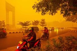 Ch&aacute;y rừng tại Indonesia thi&ecirc;u rụi gần 2 triệu ha đất, kh&oacute;i m&ugrave; lan khắp khu vực