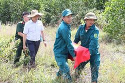 Quảng Ng&atilde;i: Từ th&ocirc;ng tin người d&acirc;n, t&igrave;m thấy h&agrave;i cốt liệt sĩ sau hơn 60 năm