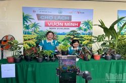Khai mạc sự kiện livestream 'Cộng đồng Chợ L&aacute;ch vươn m&igrave;nh'