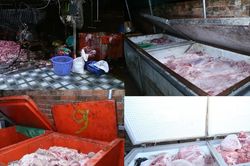 Đồng Nai: Triệt ph&aacute; đường d&acirc;y ti&ecirc;u thụ 400 tấn heo bệnh, heo chết