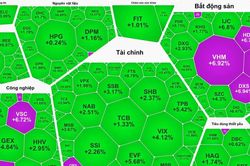 Cổ phiếu bất động sản kịch trần, VN-Index b&ugrave;ng nổ