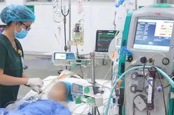 Đồng Nai: Cứu sống b&eacute; g&aacute;i 8 tuổi bị sốc sốt xuất huyết, suy đa cơ quan