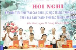 Bắc Ninh xúc tiến tiêu thụ trái cây chủ lực