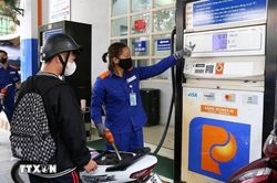 Thủ tướng y&ecirc;u cầu tr&igrave;nh Nghị định mới về kinh doanh xăng dầu trước ng&agrave;y 10/11