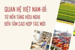 Việt Nam-Bỉ: Từ nền tảng hữu nghị đến tầm cao hợp t&aacute;c mới