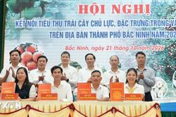 Bắc Ninh x&uacute;c tiến, kết nối thị trường ti&ecirc;u thụ hơn 118.000 tấn tr&aacute;i c&acirc;y