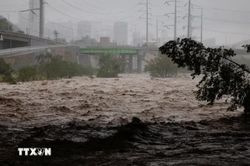 Mexico đ&oacute;ng cảng, sơ t&aacute;n người d&acirc;n do mưa lớn v&agrave; b&atilde;o