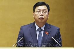 Đề xuất bỏ giấy phép dịch vụ việc làm, mở rộng đối tượng tham gia bảo hiểm xã hội bắt buộc
