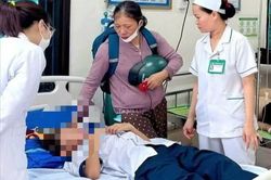 Quảng Trị: H&agrave;ng chục học sinh nhập viện do bị ong đốt
