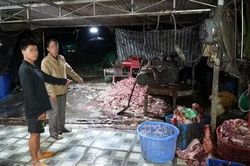 Triệt ph&aacute; đường d&acirc;y ti&ecirc;u thụ khoảng 400 tấn lợn bệnh, lợn chết