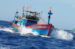 Nguy cơ thất thu 127 tỷ đồng từ c&aacute;c vụ t&agrave;u c&aacute; mất kết nối gi&aacute;m s&aacute;t tại C&agrave; Mau